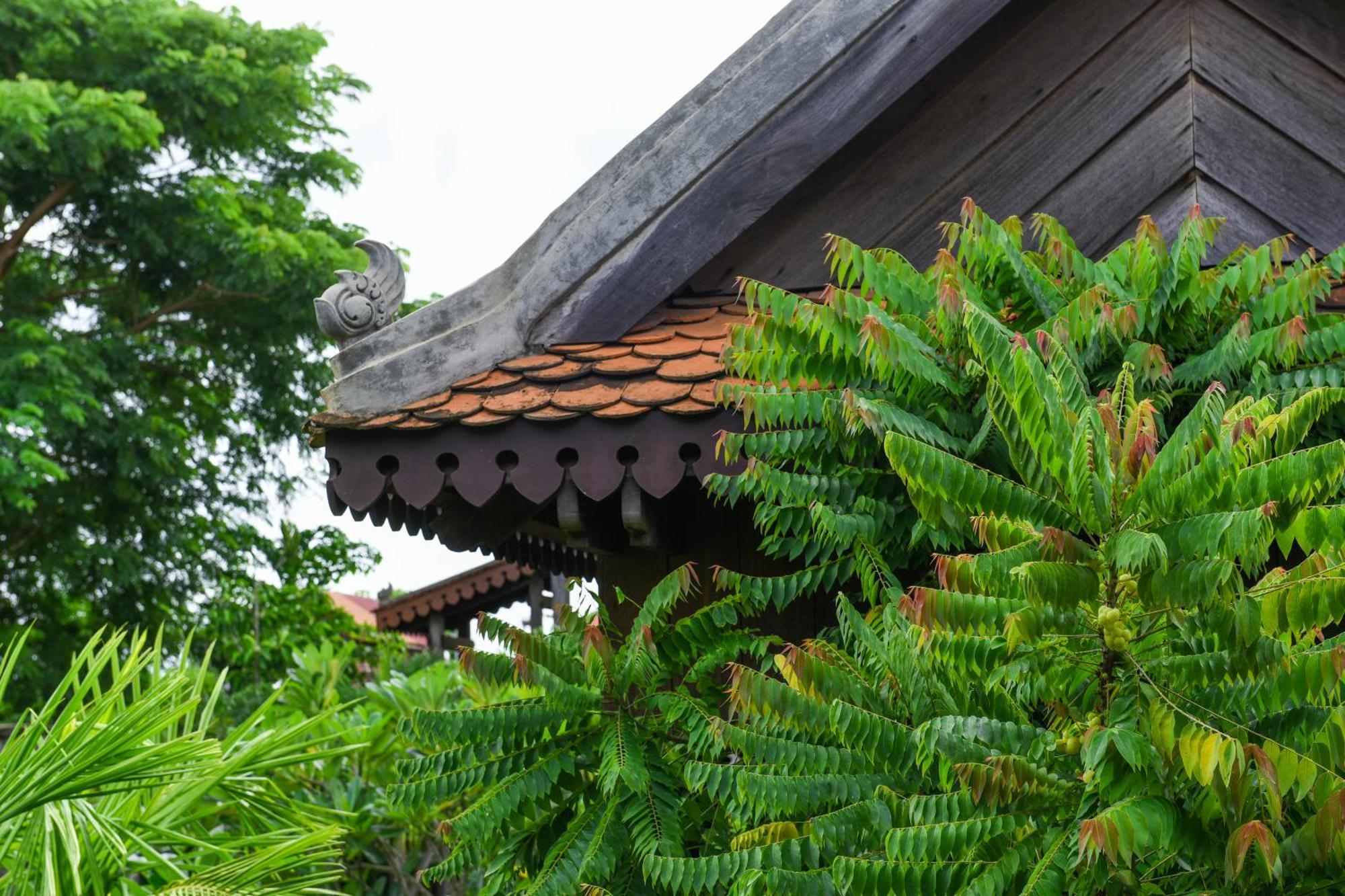 Phum Khmer Lodge - Village Cambodian Eco-Lodge 시엠리아프 외부 사진